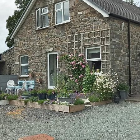 Pant Glas Barn Llanbrynmair المظهر الخارجي الصورة