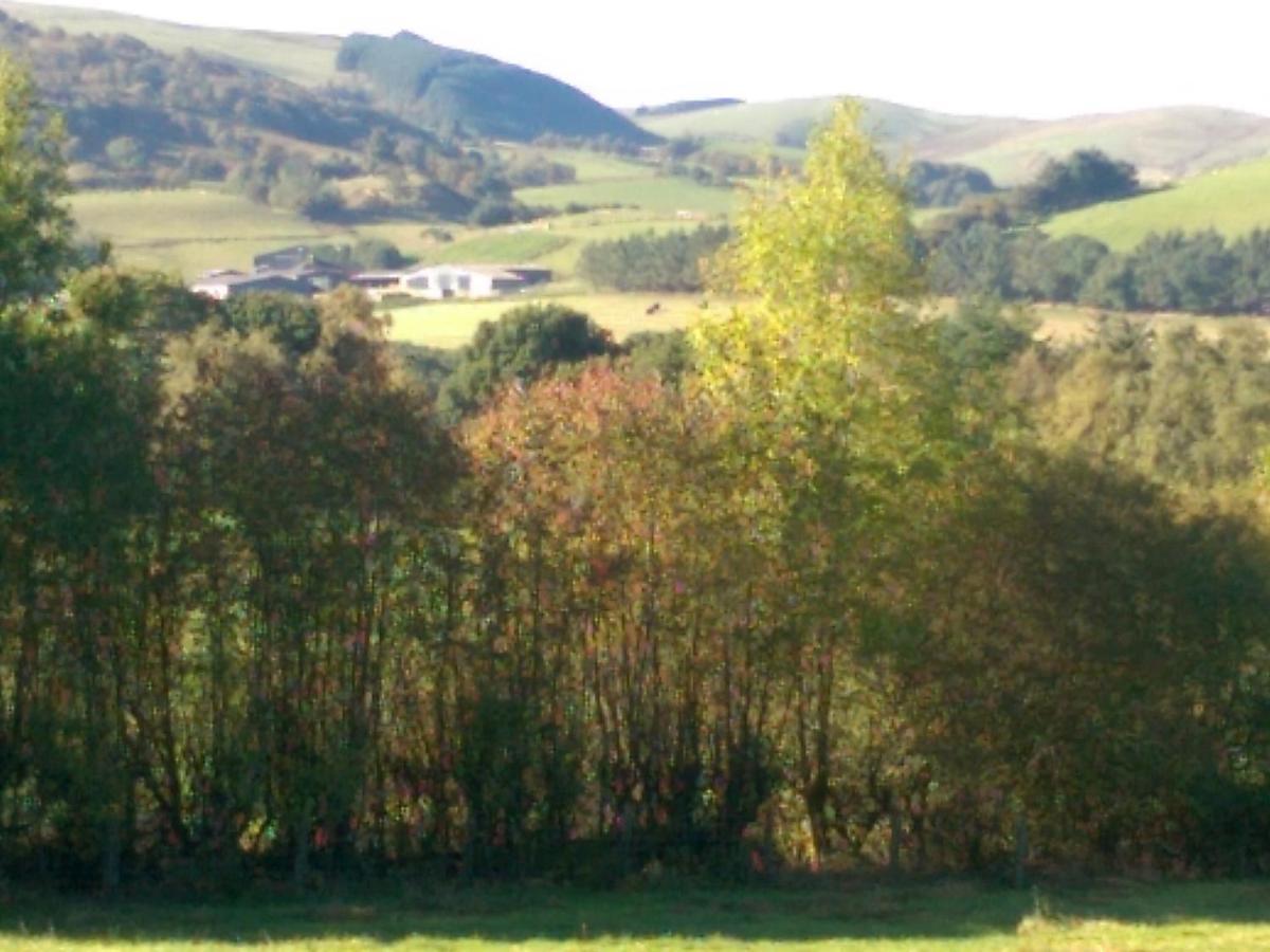 Pant Glas Barn Llanbrynmair المظهر الخارجي الصورة