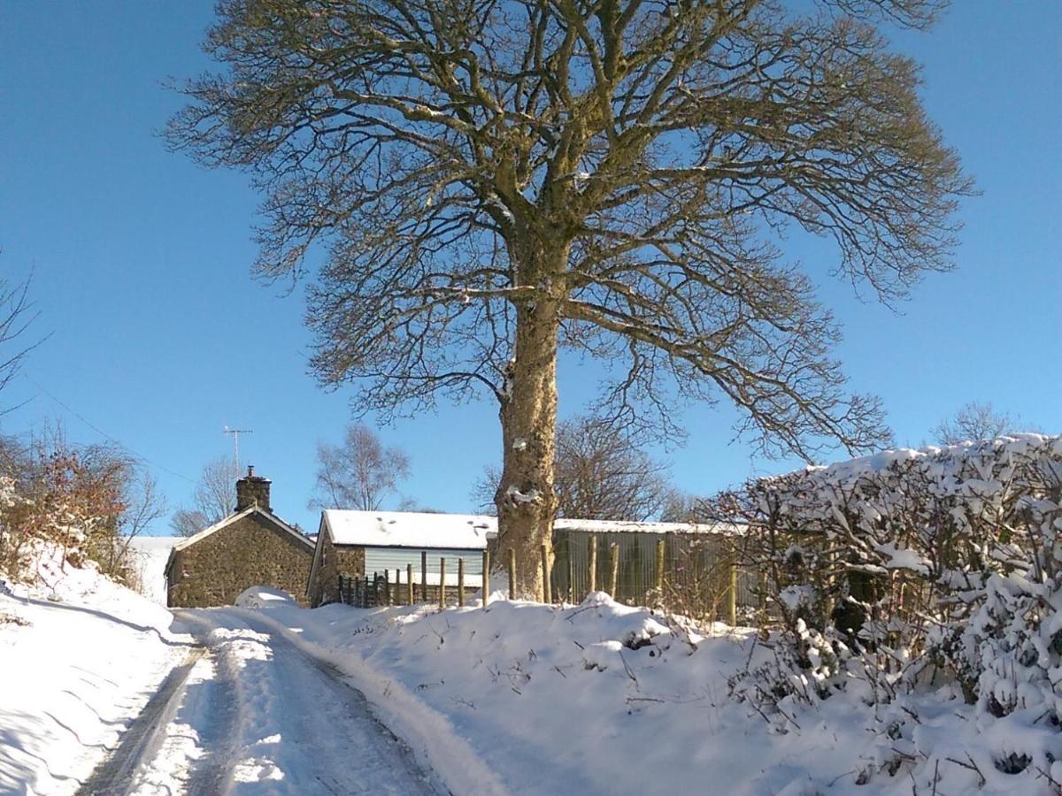 Pant Glas Barn Llanbrynmair المظهر الخارجي الصورة